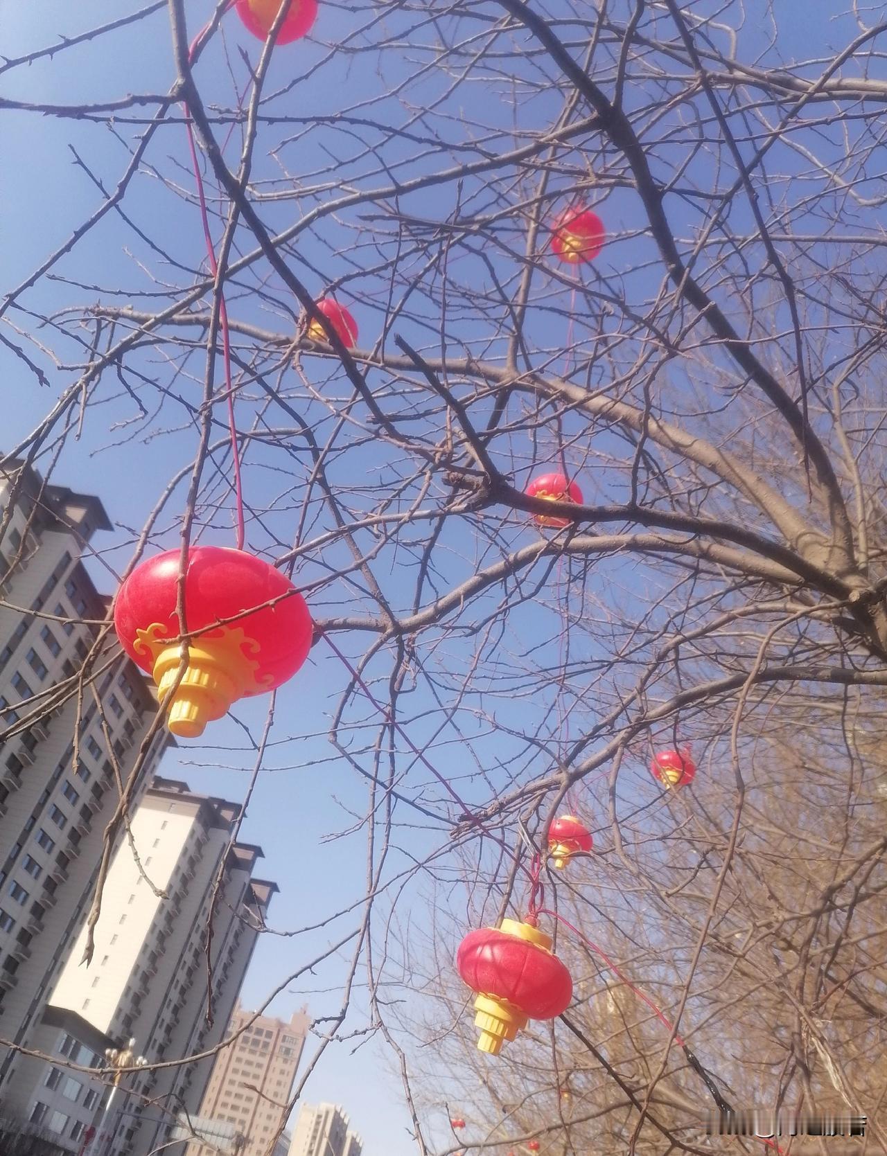 老爸起得真早，看他穿戴好就知道要出门了，告诉我自己要做点好吃的，出去多穿点，戴帽