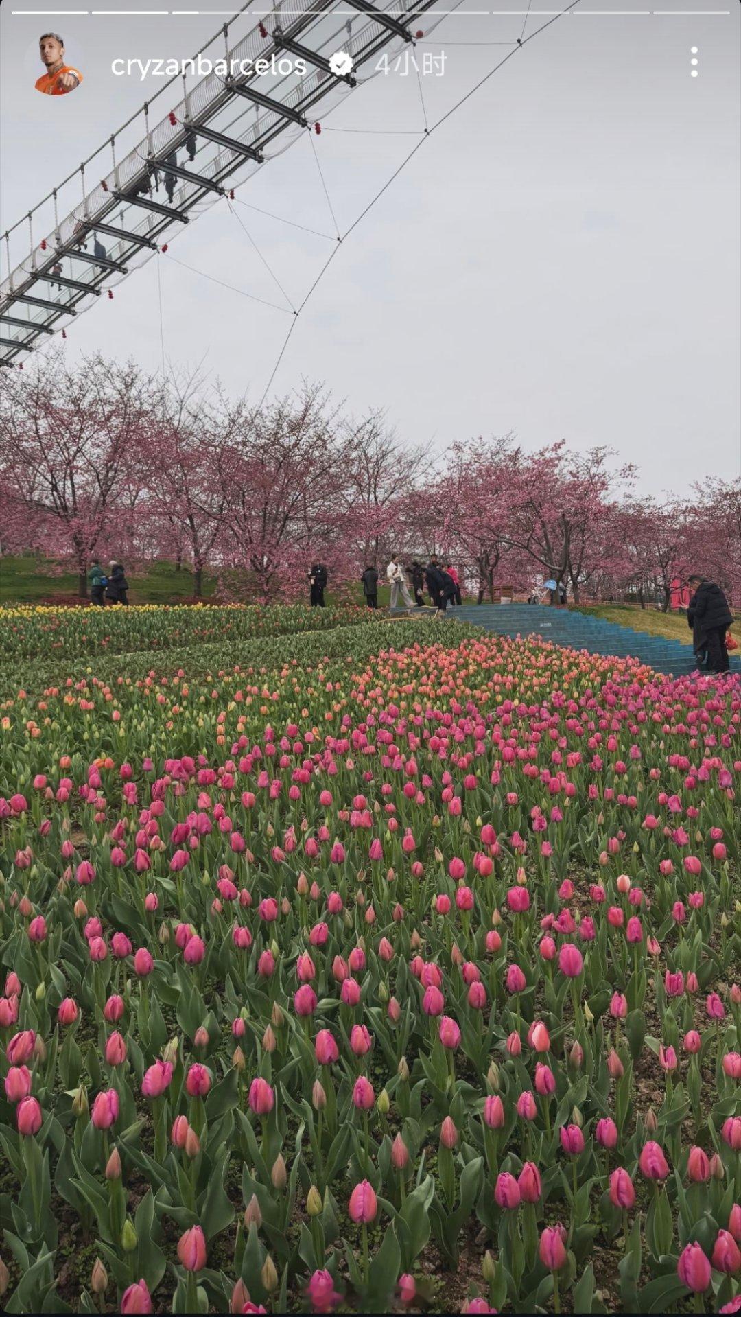 克雷桑社媒动态🌸自由橙山东泰山