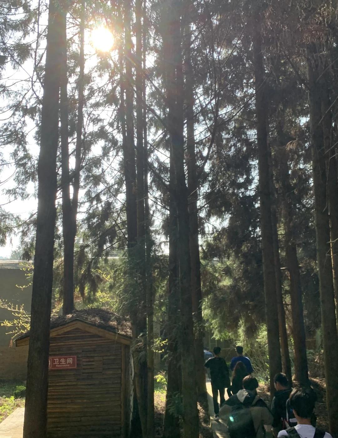 「重庆地图收集计划」📍 进度4/100 - 涪陵
在涪陵找到了我的“绿野仙踪”