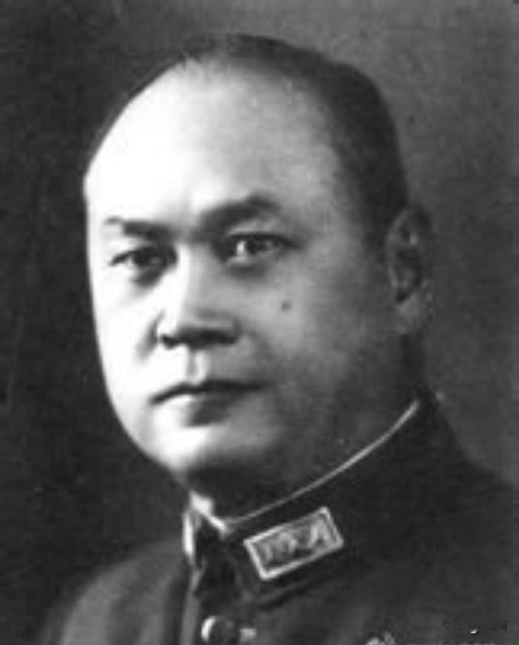 全面抗战爆发后，国民政府分别派驻杨杰出使苏联、胡适出使美国。
驻苏大使杨杰将军，