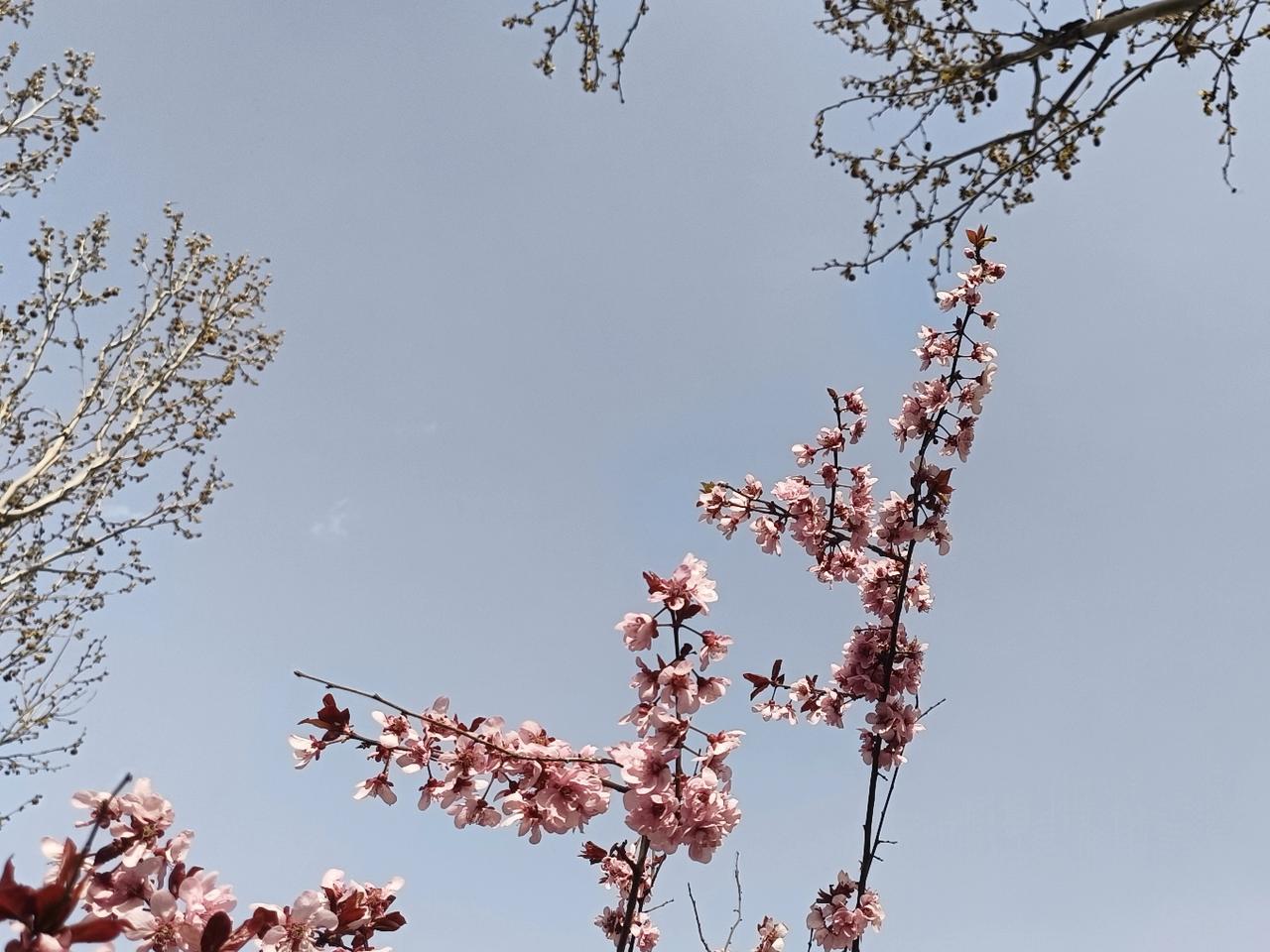 俗话说，一日之计在于晨，一年之计在于春。
清晨路上已是车水马龙，院里更是车辆往来