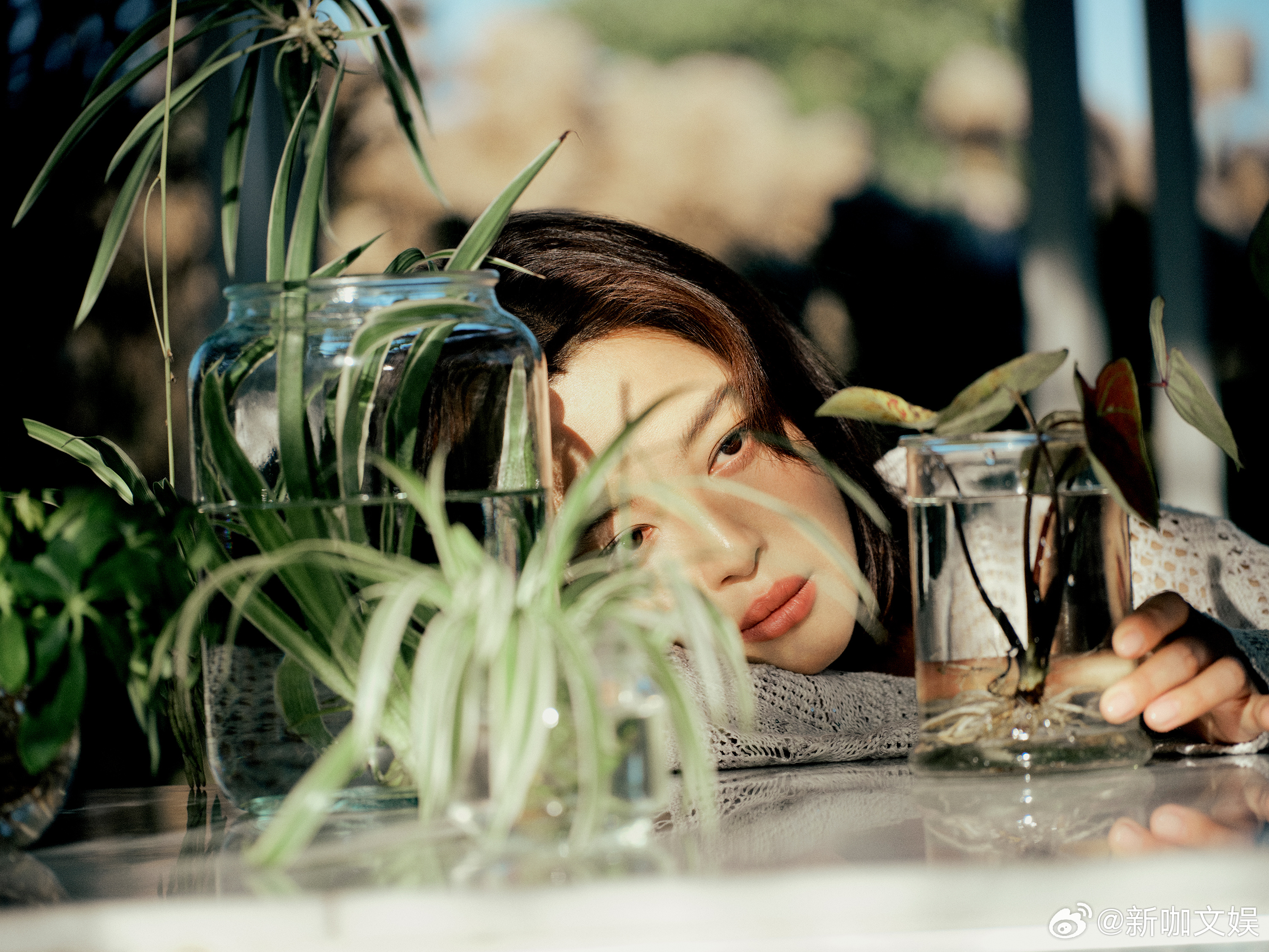 辛芷蕾野生感生命力辛芷蕾野生感大片 辛芷蕾的野生感大片诠释了极致的生长之美，眉眼