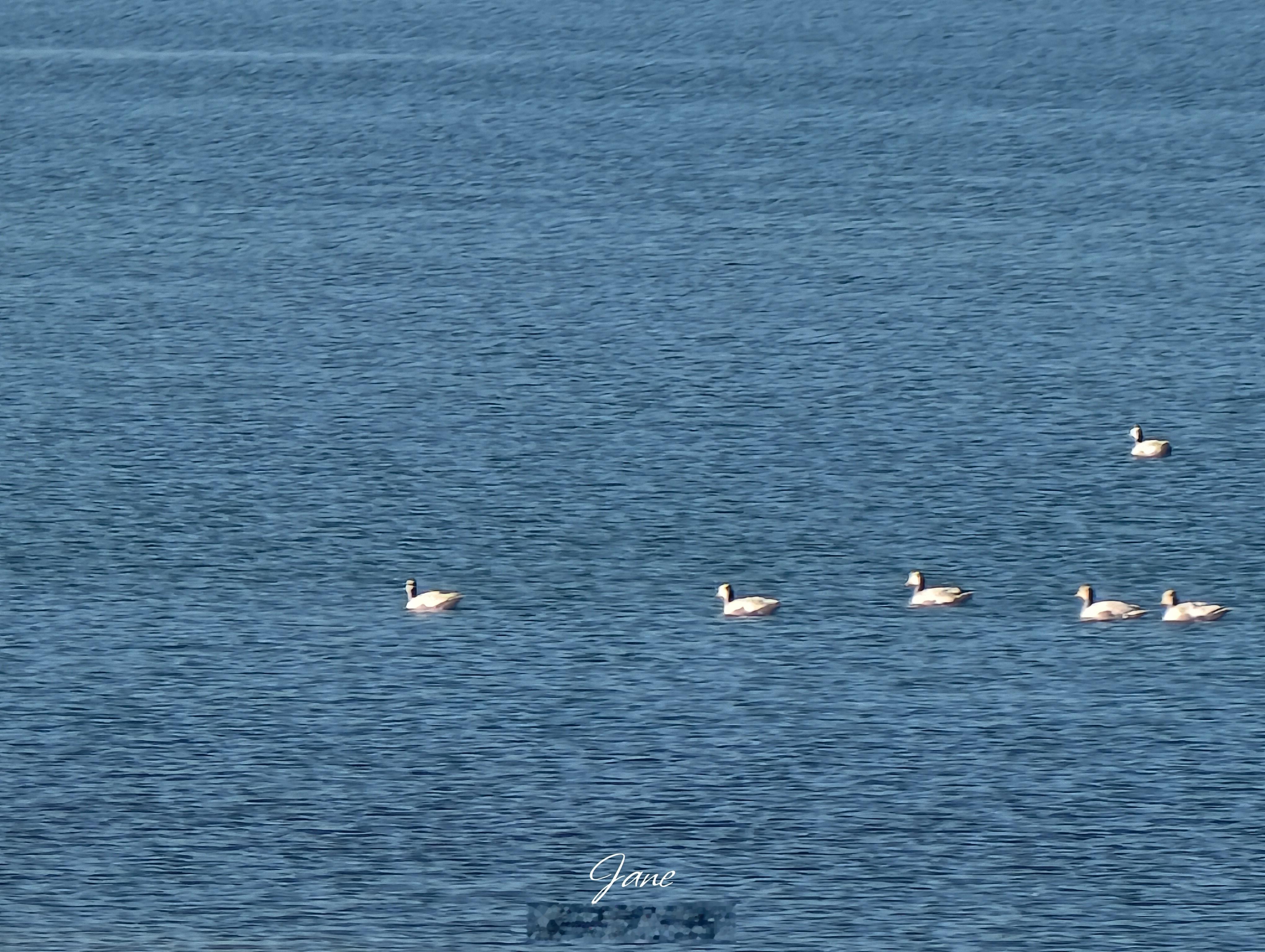 Morning  果洛·冬格措纳湖