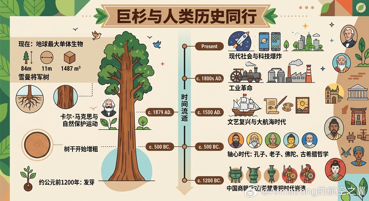 地球最大单体生物寿命3000年 谢尔曼将军树（General Sherman T