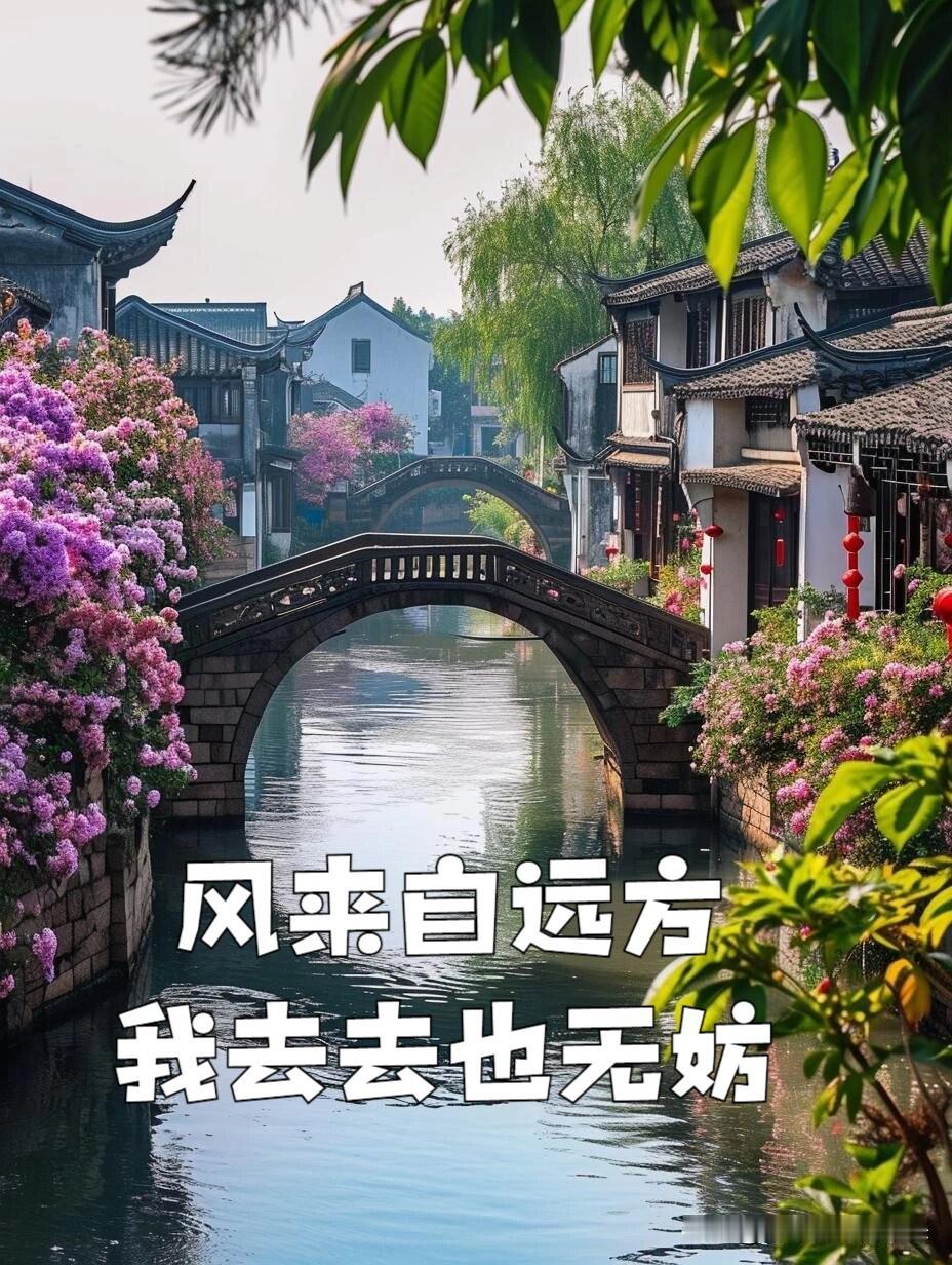 再下一城！又一个百篇创作栏目诞生了！

今天，是我来头条创作的1040天，累计发