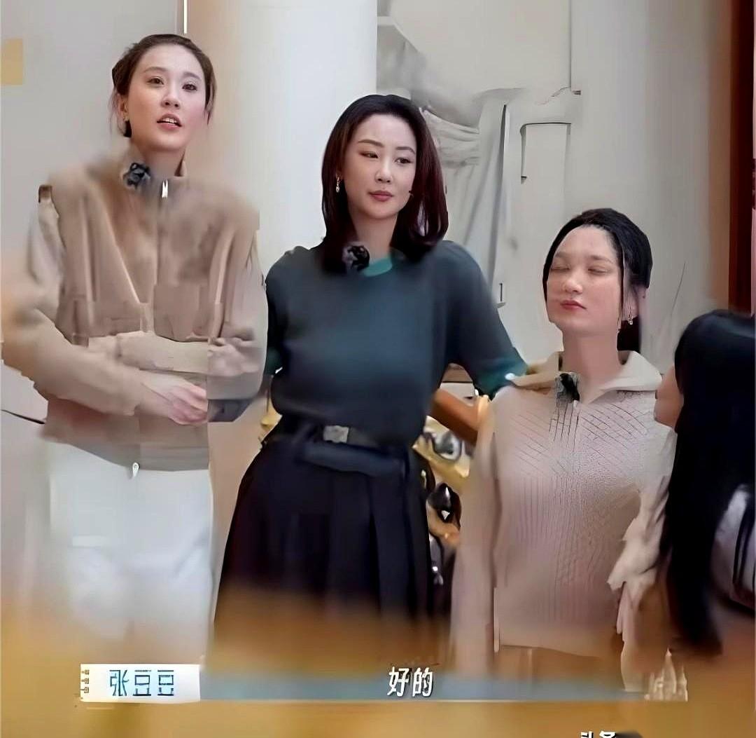 伊能静实在看不下去了，她侧过身，凑到张豆豆耳边，声音压得像气流：“让你老公分点活