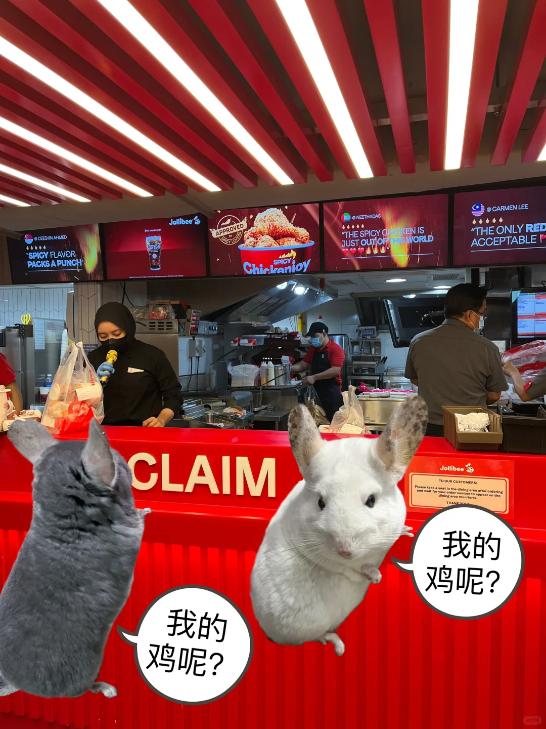 阿呆阿瓜溜达新加坡4