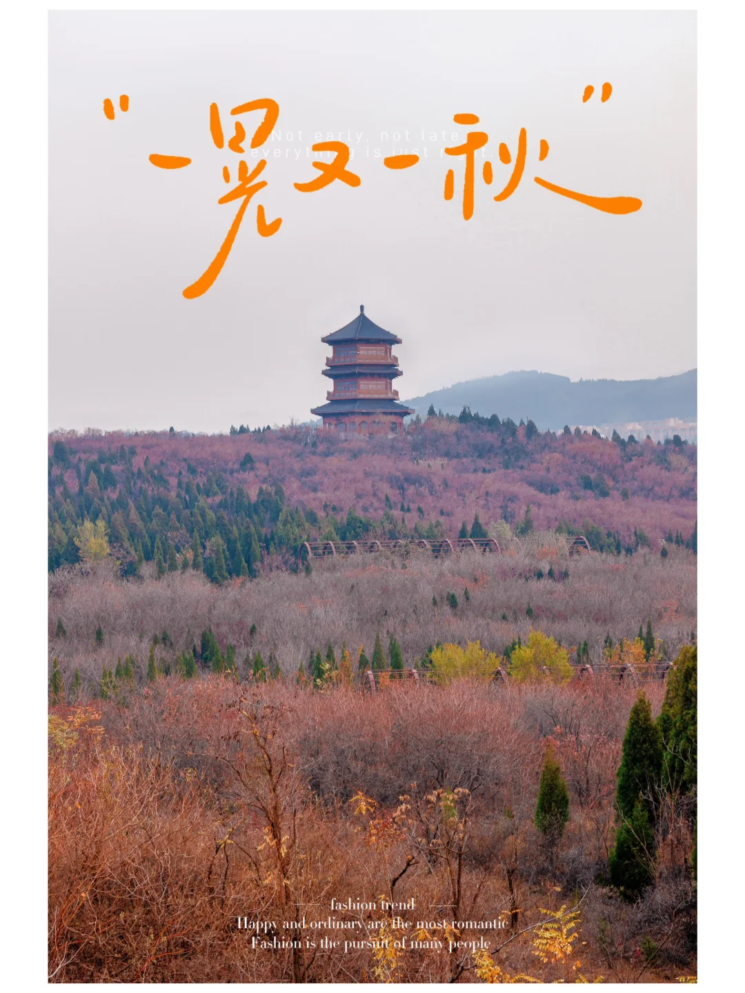 我在济南捡了个秋 这个公园你一定没去过‼️