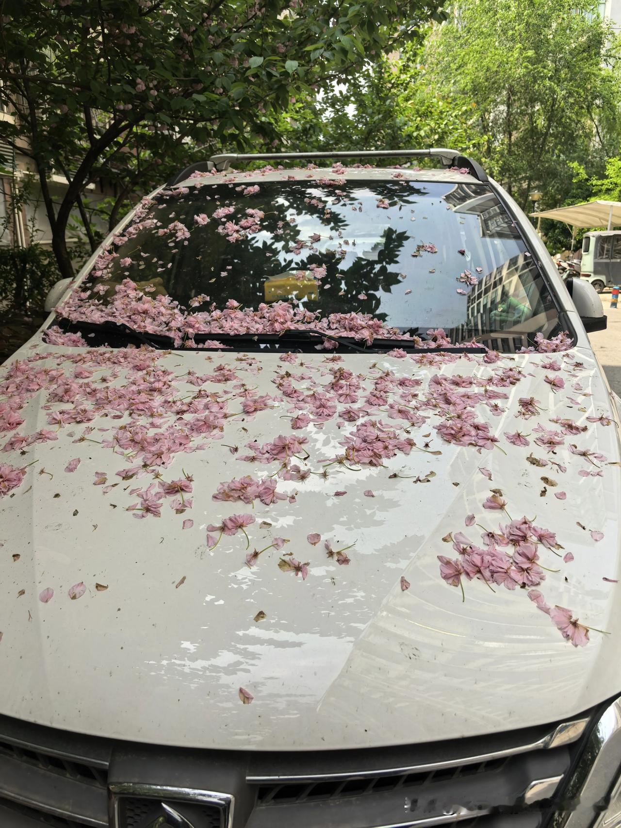 今晚月色真美。
（日语：月が綺麗ですね / 含蓄表白：我爱你）
风也温柔。
（回