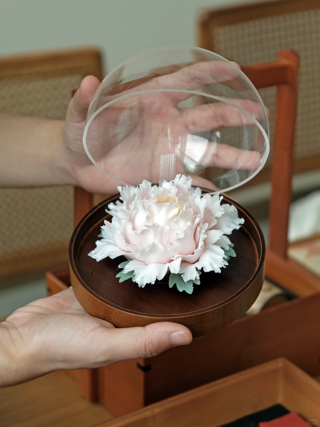 花瓣比纸还薄的瓷花