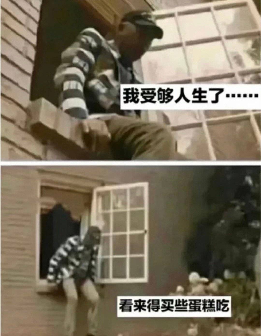 现阶段对人生的态度都是：  