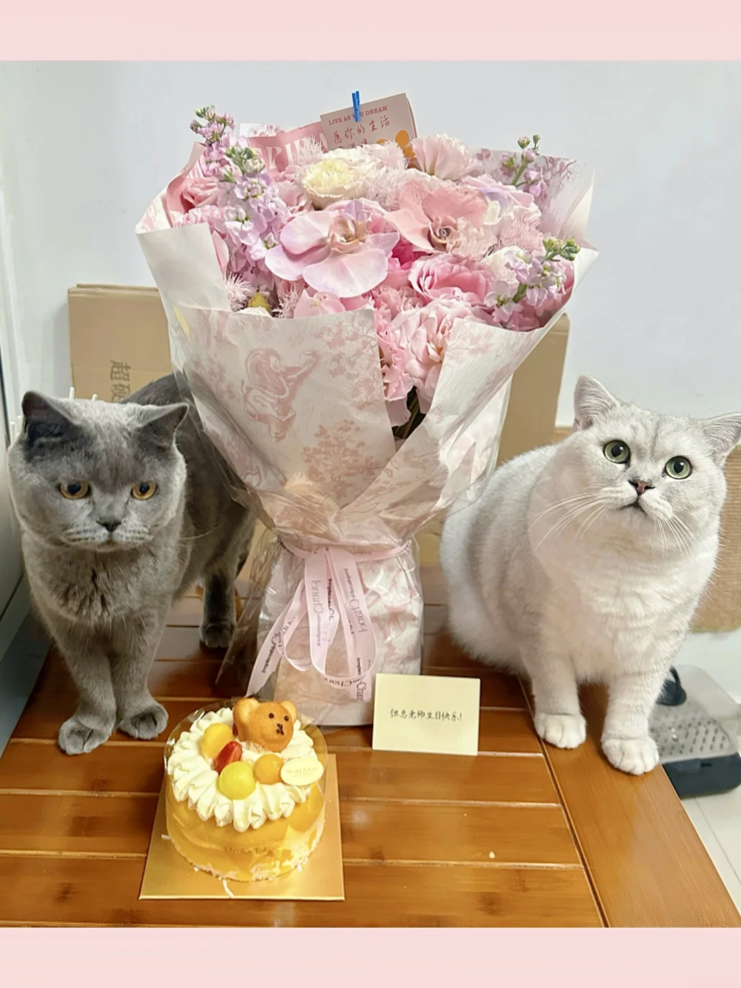连续3年在乐刻过生日了
