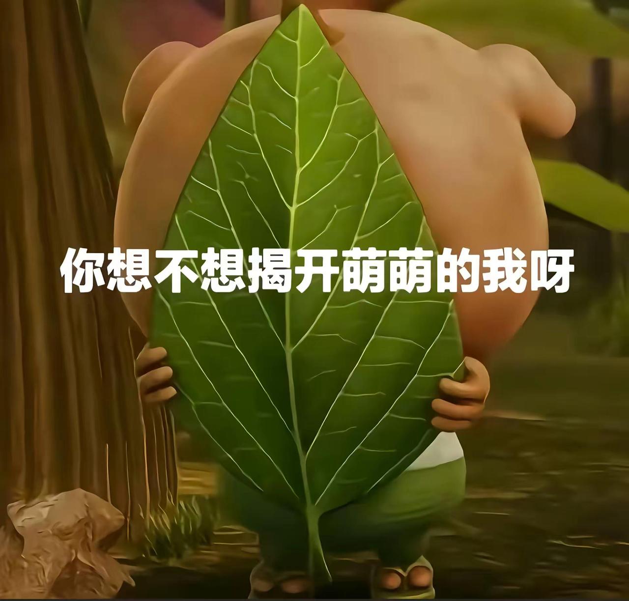 小呆呆 男神来了