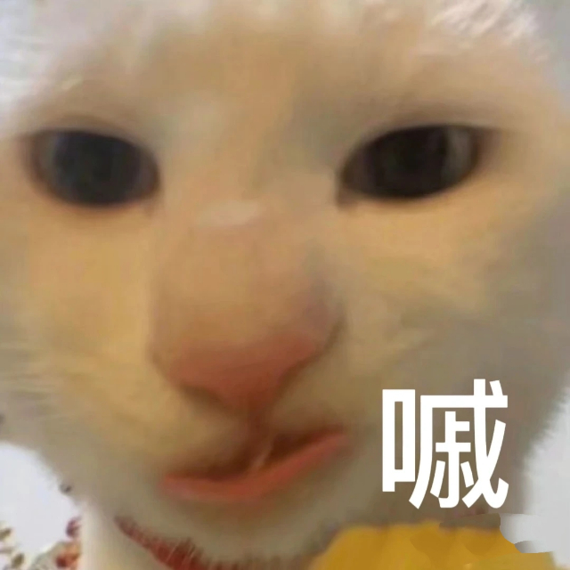 每天一条冷知识 你召唤白猫它不理你，真不是因为高冷……白猫有着先天性的感官生理缺