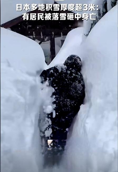 日本这雪下得真邪门，海沿岸直接成了“白色炼狱”，42条人命被雪活活“埋”死了！