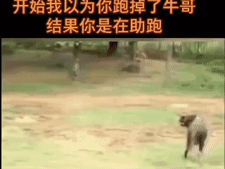 本以为仓皇逃命，
没想到是在憋大招！[泣不成声]