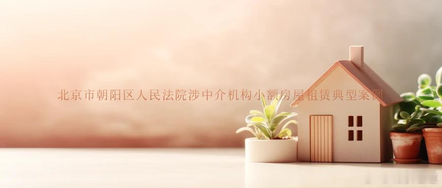北京市朝阳区人民法院涉中介机构小额房屋租赁典型案例案例一房屋不符合安全条件，承租