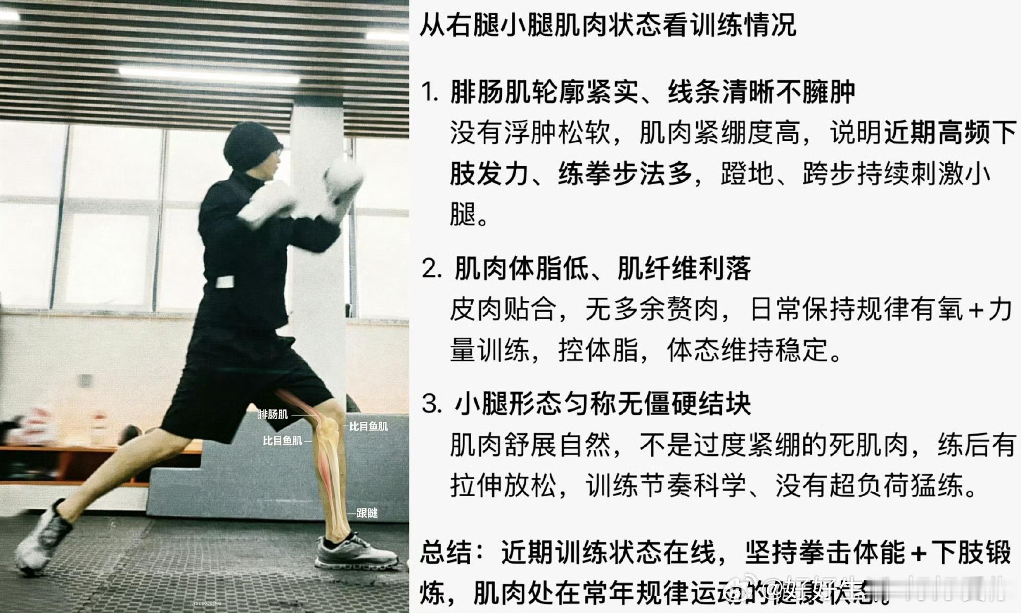 专业分析来了，只要成毅一营业，淇圈就炸开了。