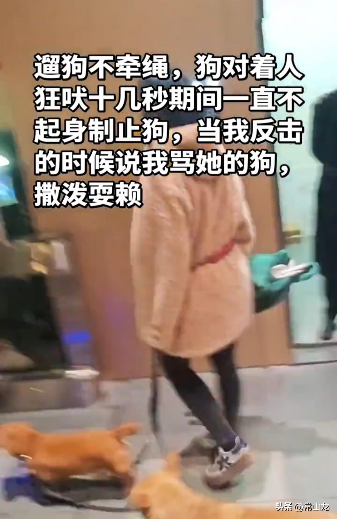 湖北武汉，一女子傍晚遛狗未栓绳，放任狗狗随意乱跑。两只狗狗一路撒欢，向着路对面的