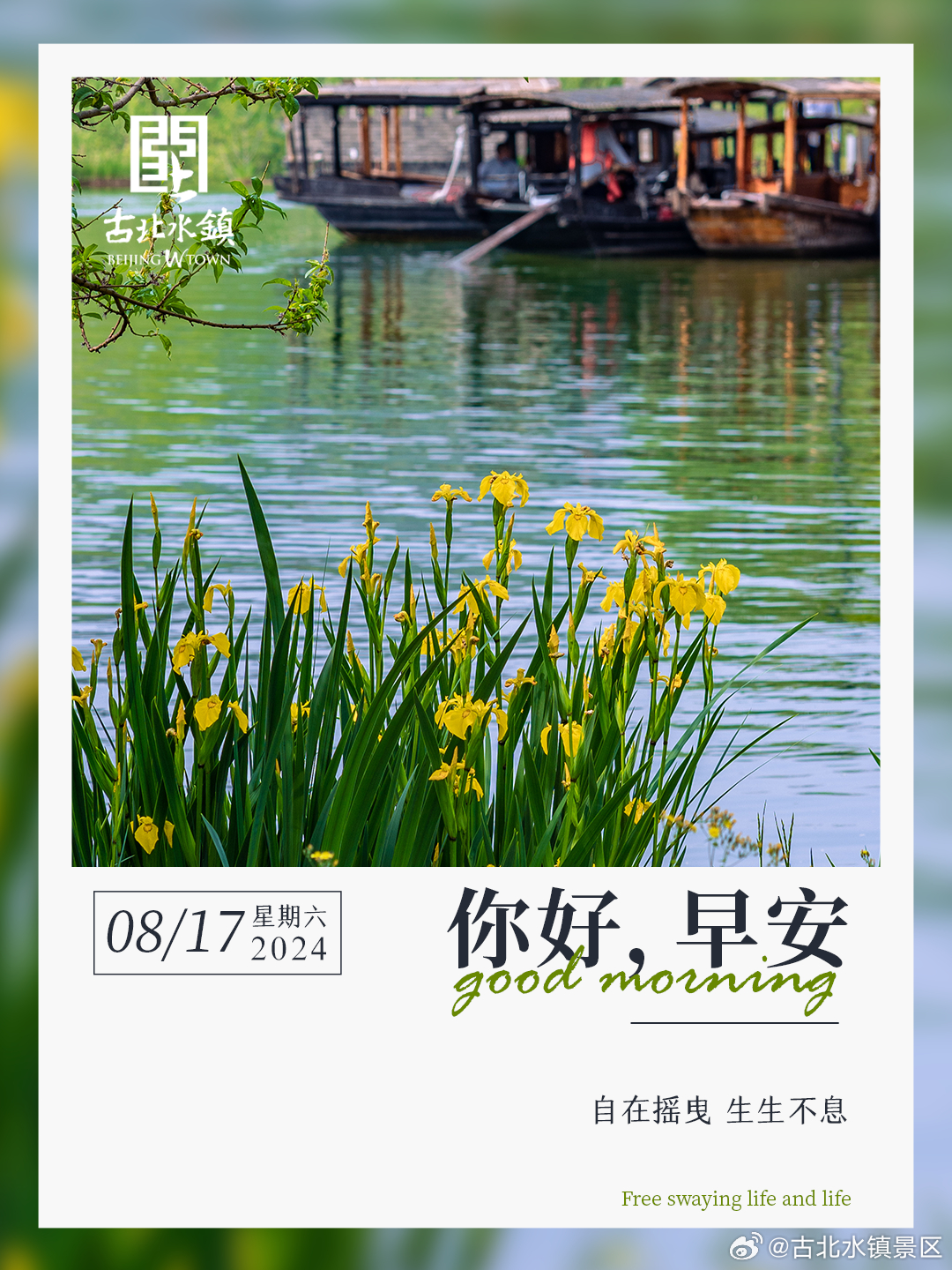 自在摇曳 生生不息早安，宝子们~ #长城下的星空小镇# #古北水镇# ​​​