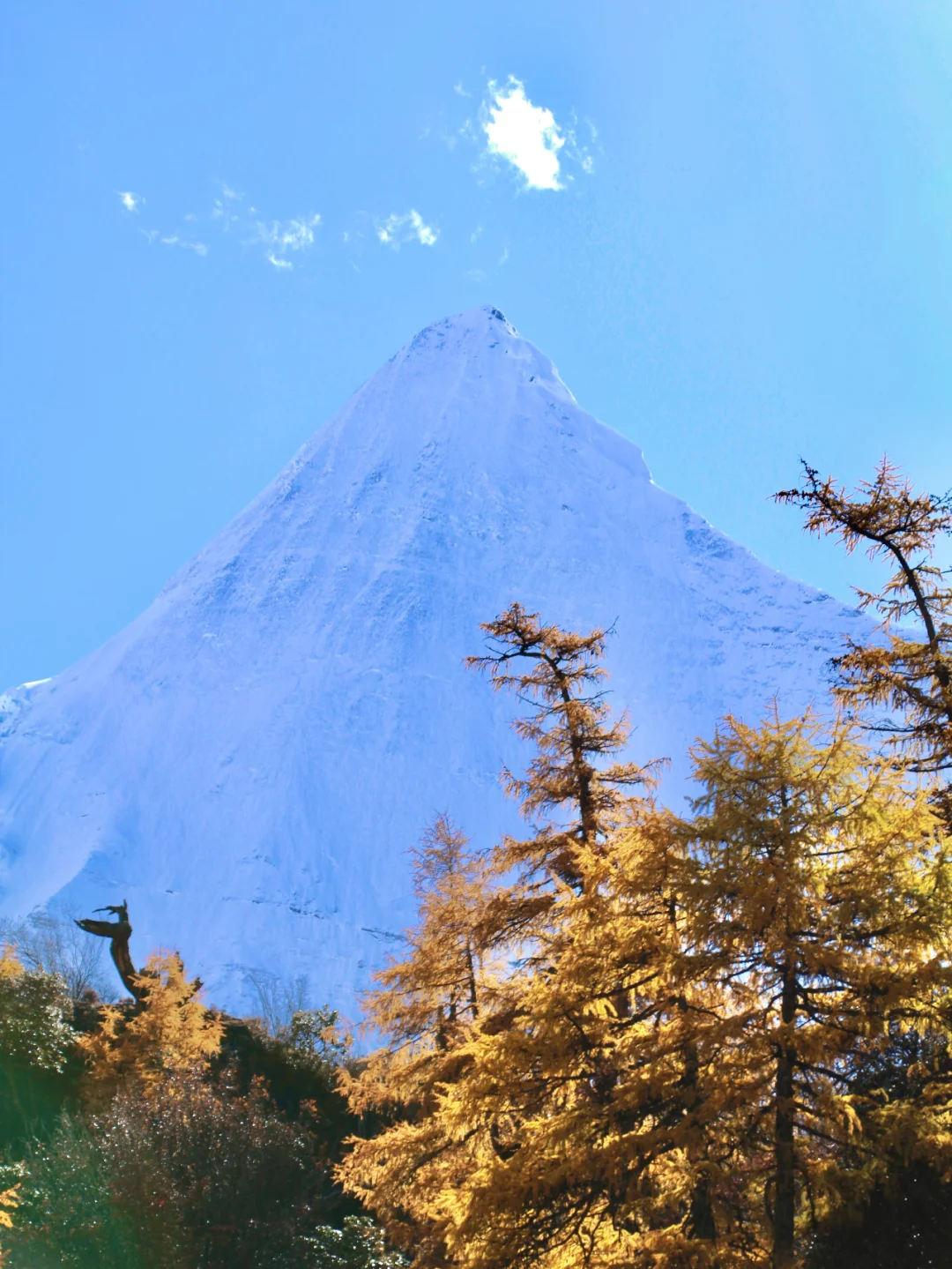 川西秋季🍂攻略！稻城+四姑娘山5日团组队