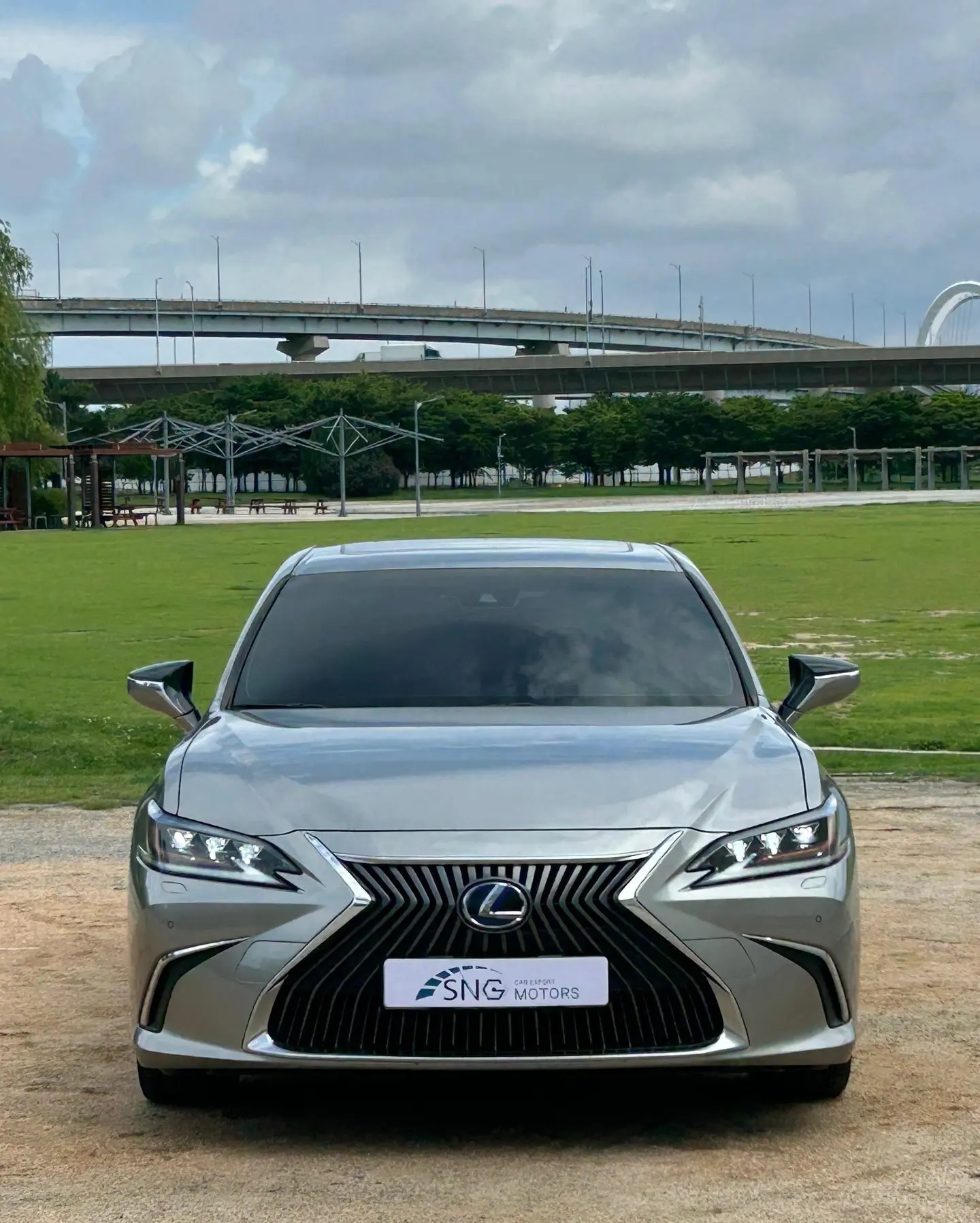 雷克萨斯专车专用耐磨打洞坐垫