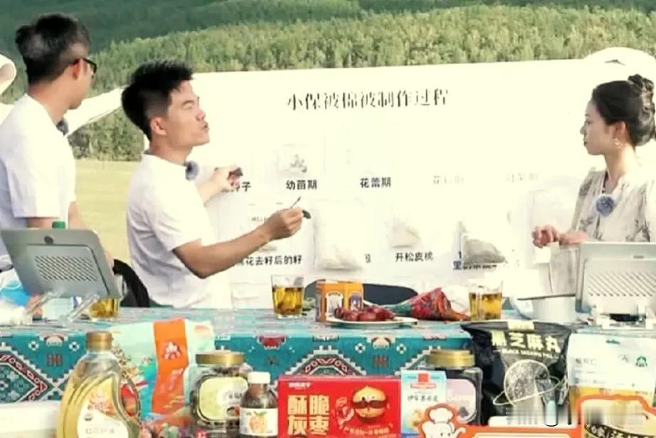 导演马骞儿肯定是没有种过地，

把棉花的吐絮期和花蕾期贴错了，

看了评论区才知