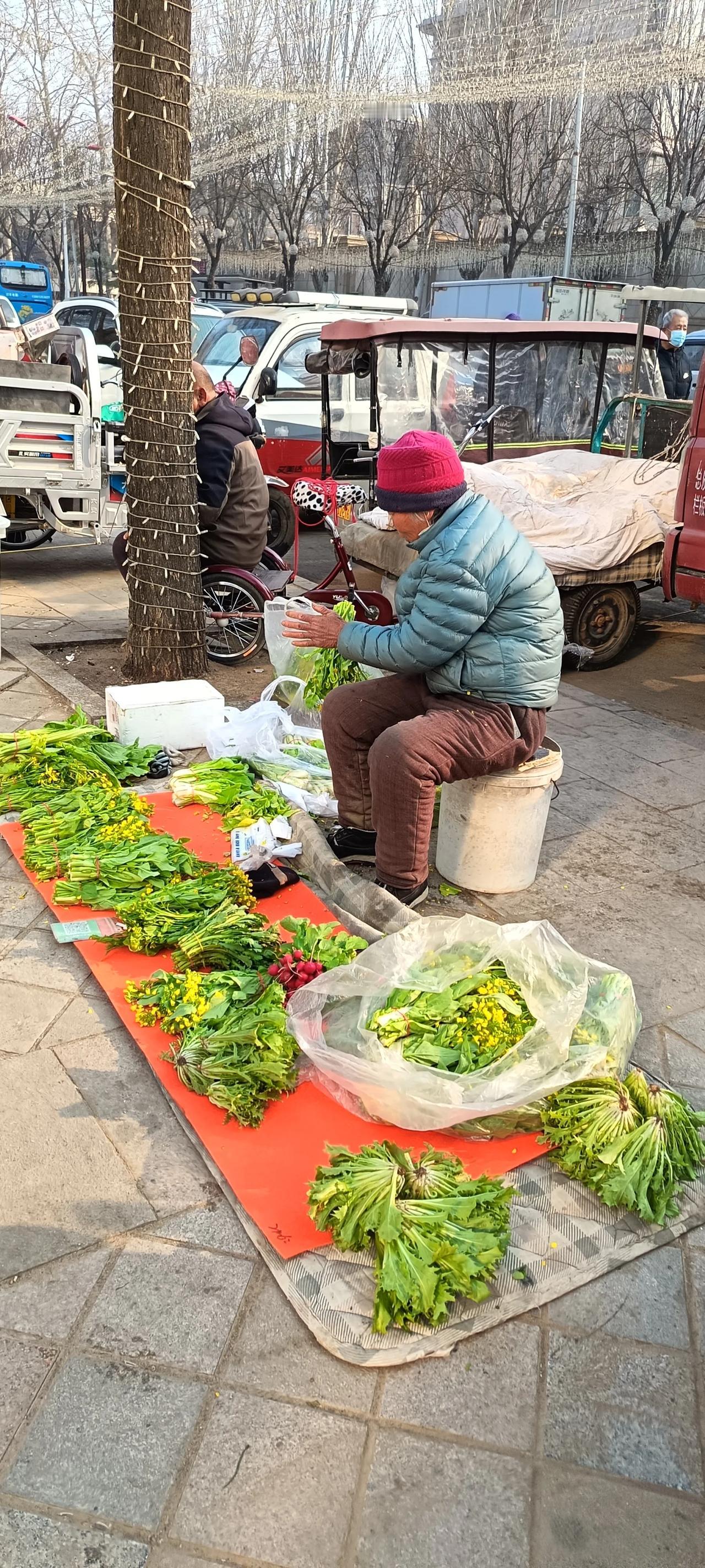 我们的教育到底培养的是什么样的人呢？
早上去市场买菜，看着大妈的菜花很新鲜，她说