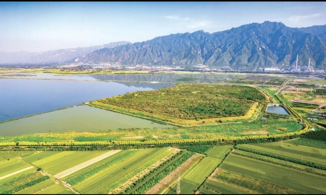 每日生活随手记如图所示是山西省永济市，我的祖先从山东桓台逃荒至此，艰苦创业，开枝