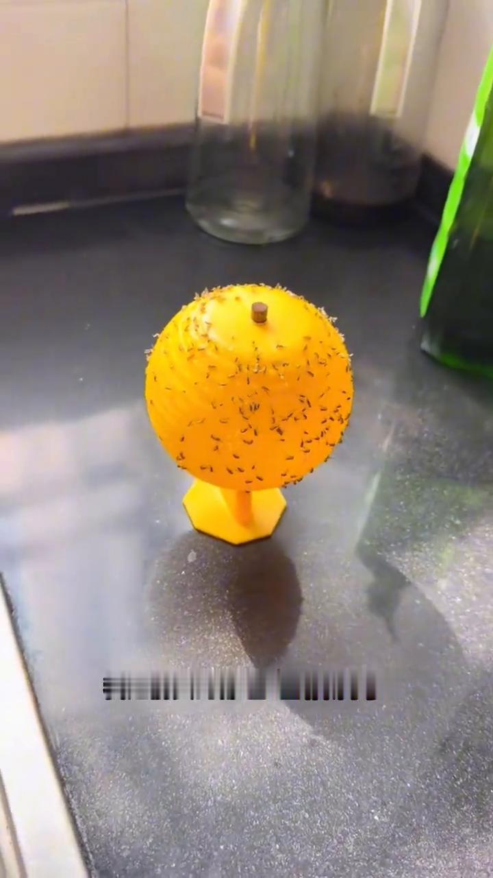 小飞虫克星，粘住就别想逃，太黏了。
这是我又买了两个粘虫小球，它真的很黏，我之前