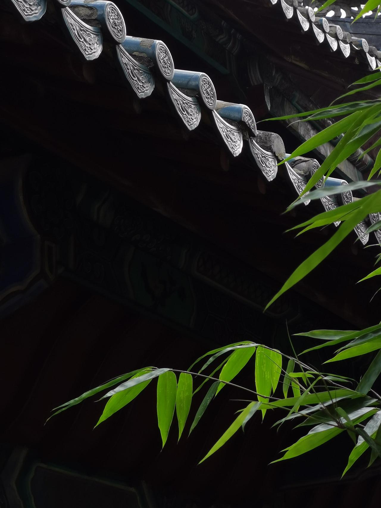 “窗外尘尘事，窗中梦梦身。既知身是梦，一任事如尘”，这是宋代范成大《十月二十六日