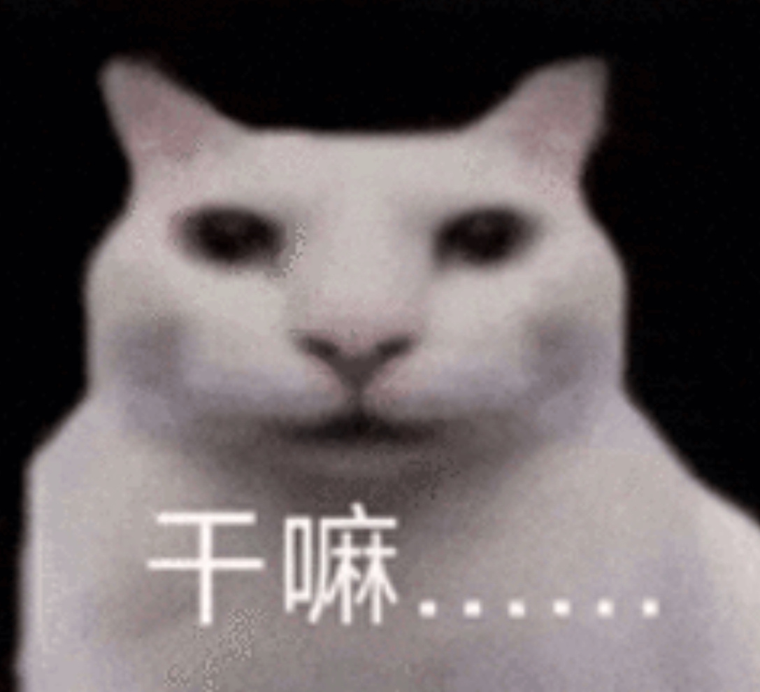 谁想到在北京上学还可以看到三月飞雪 我感觉我学校各地都是被切好的霉豆腐 