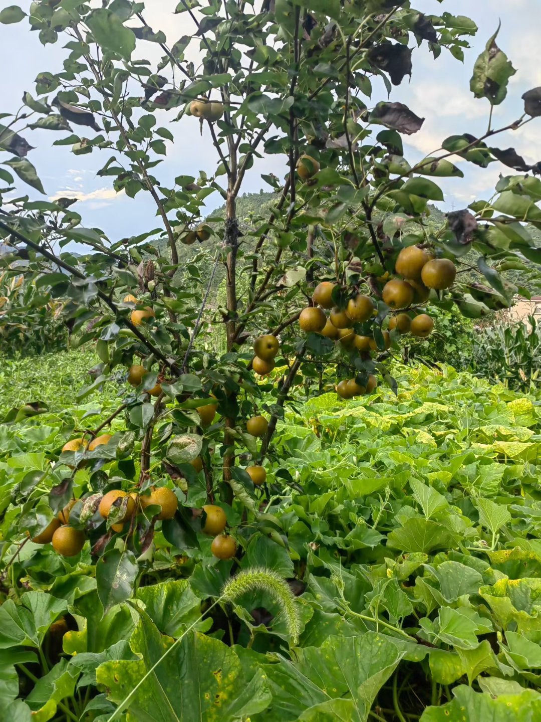 快到我嘴里来