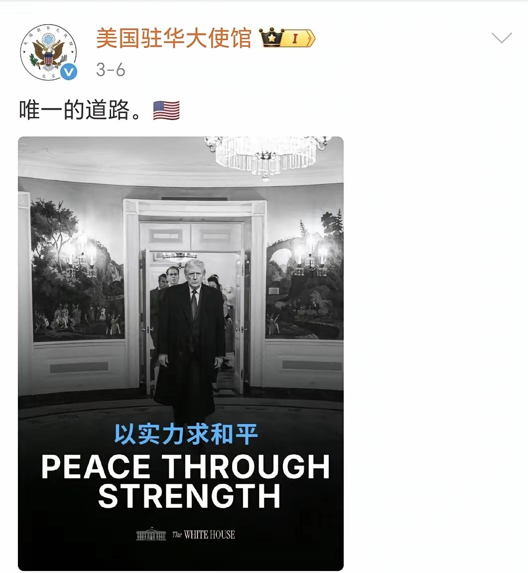 美国驻华大使馆发的这张图“以实力求和平”，这是国际关系中典型的现实主义理论，实际