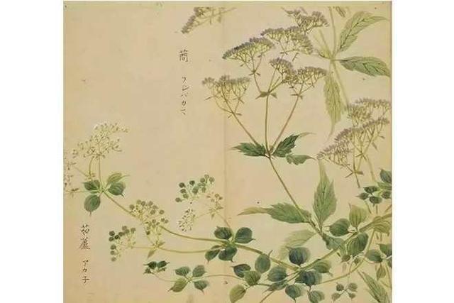 古代最美的情诗，流传了2000多年，她说鸡打鸣了，他说天还没亮

要说清代最狂的