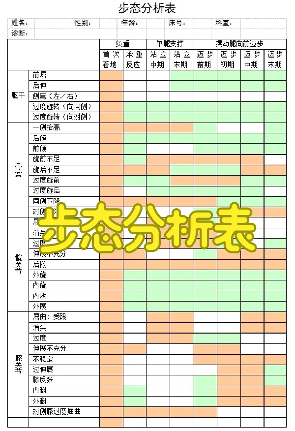 步态分析表