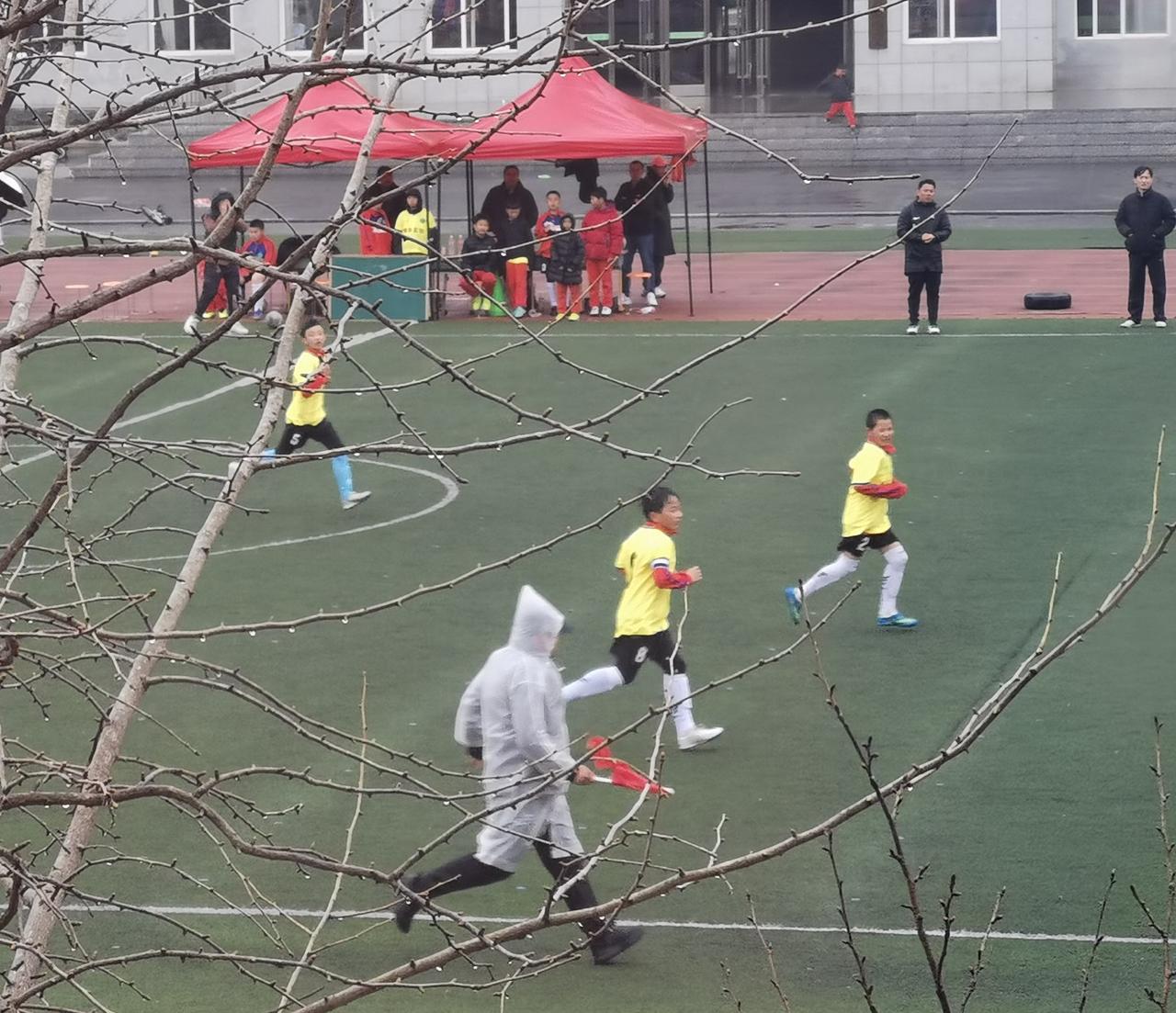 濛濛春雨中，我家门前一所小学的绿茵场上，“市长杯”小学生足球赛踢的正欢。我站在窗