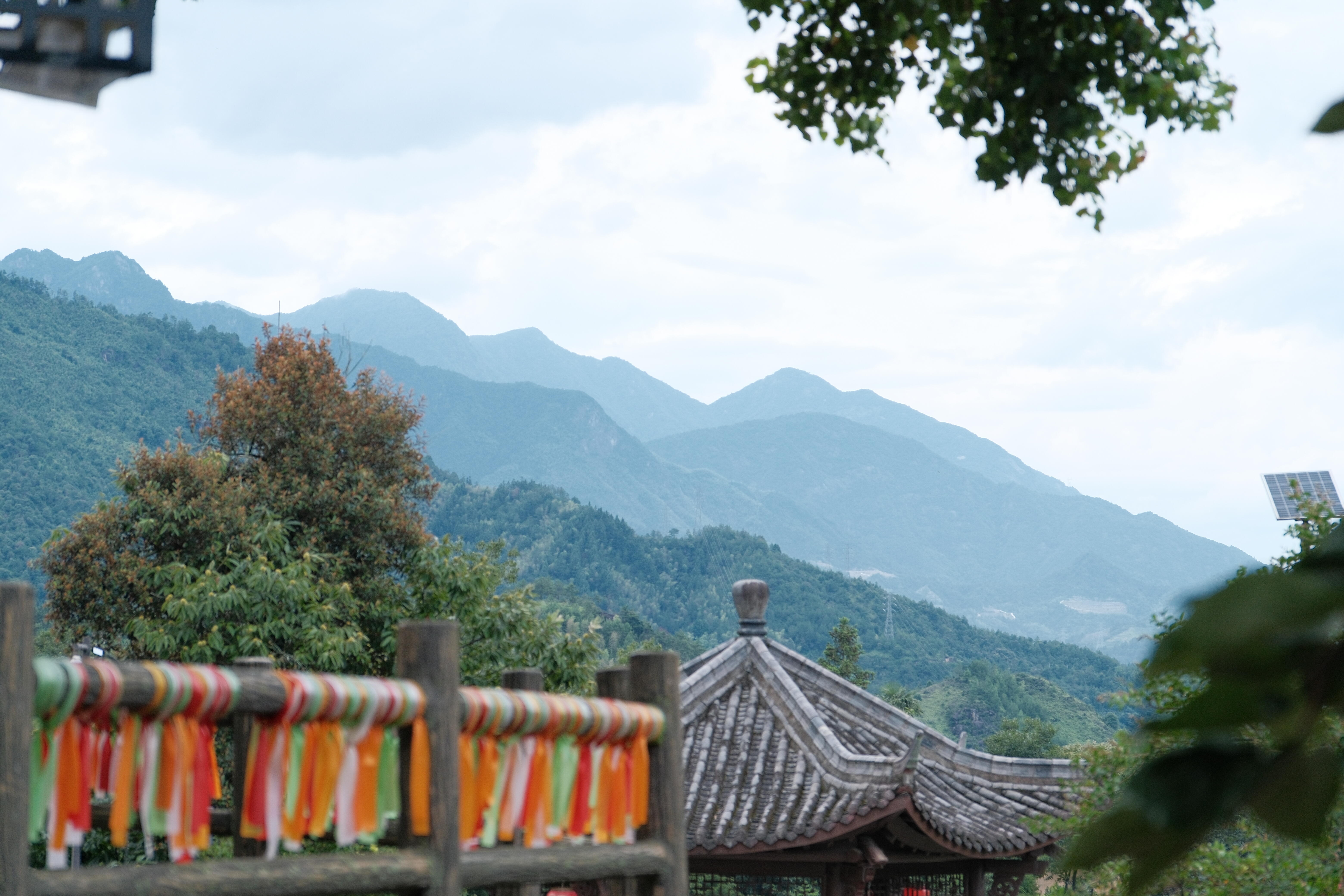 云和安溪黄处村的夏日清晨🍃薄雾漫过连绵青山，土屋错落藏在林海间云妮、梨妹、壮壮