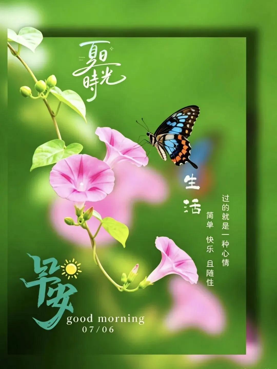 早安吉祥。夏日清晨，蝴蝶飞舞，生活简单快乐。[玫瑰][微风][烟花]