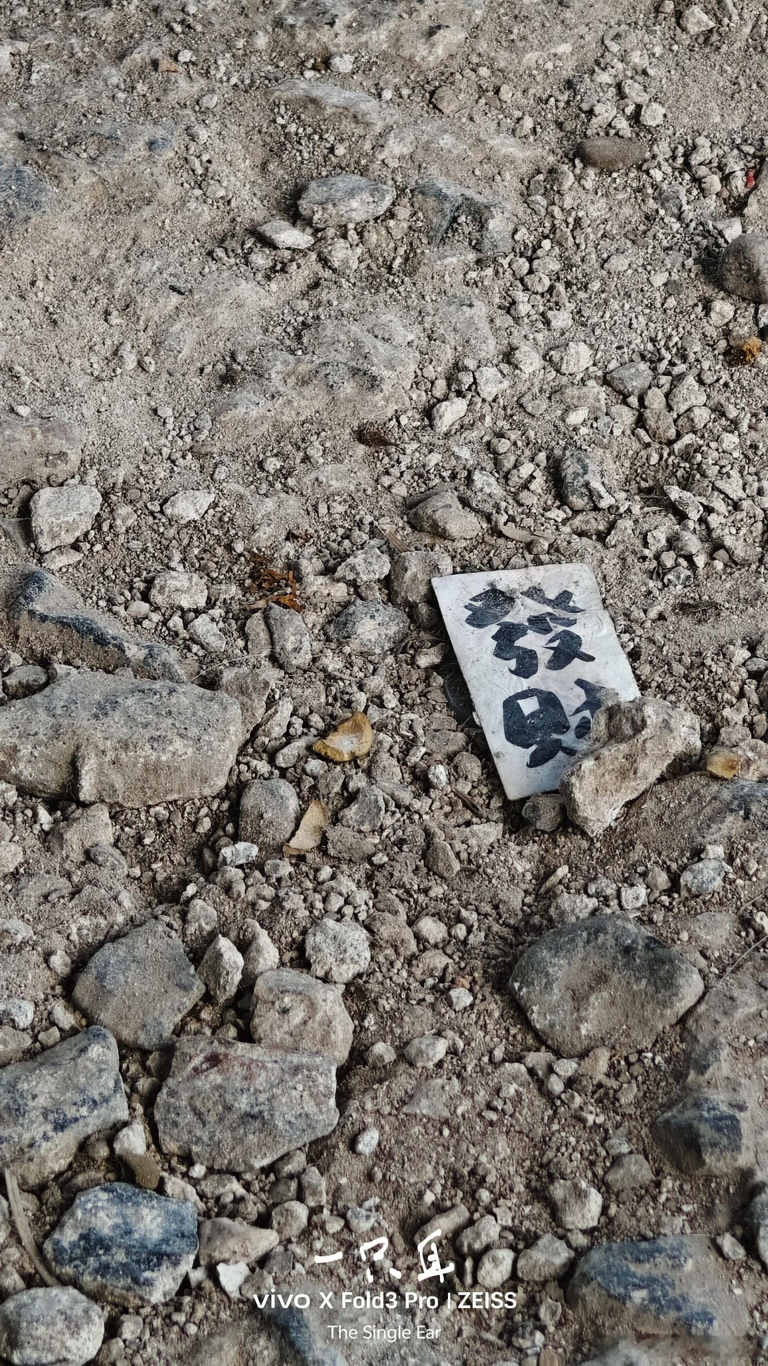 这张发财被嫌弃了，我发现了，是不是就算祝福到家了，谁看见了也就祝福到家了[微笑]