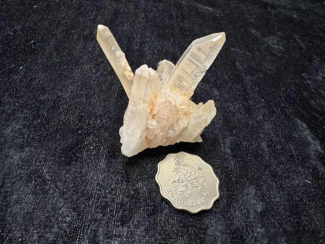 图灵塔罗  图灵的运势老粉朋友都清楚不是不清楚当下大家在经历什么太清楚了，太明白