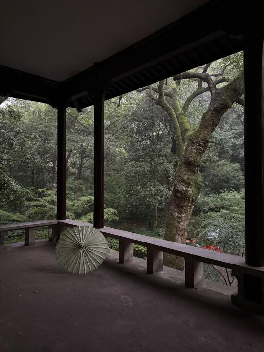 Live图 |一定要在雨天去一次云栖竹径