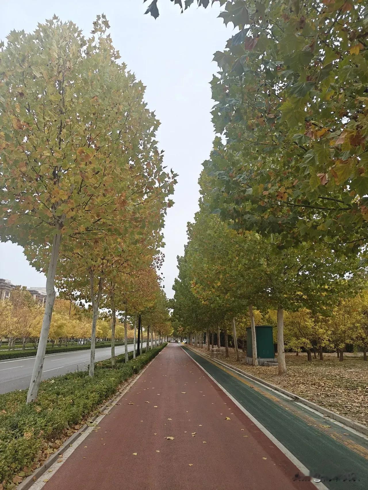 昨天晚上我老公说他们饭店的一个服务员干活没有顺序感，东一榔头西一棒槌，眉毛胡子一