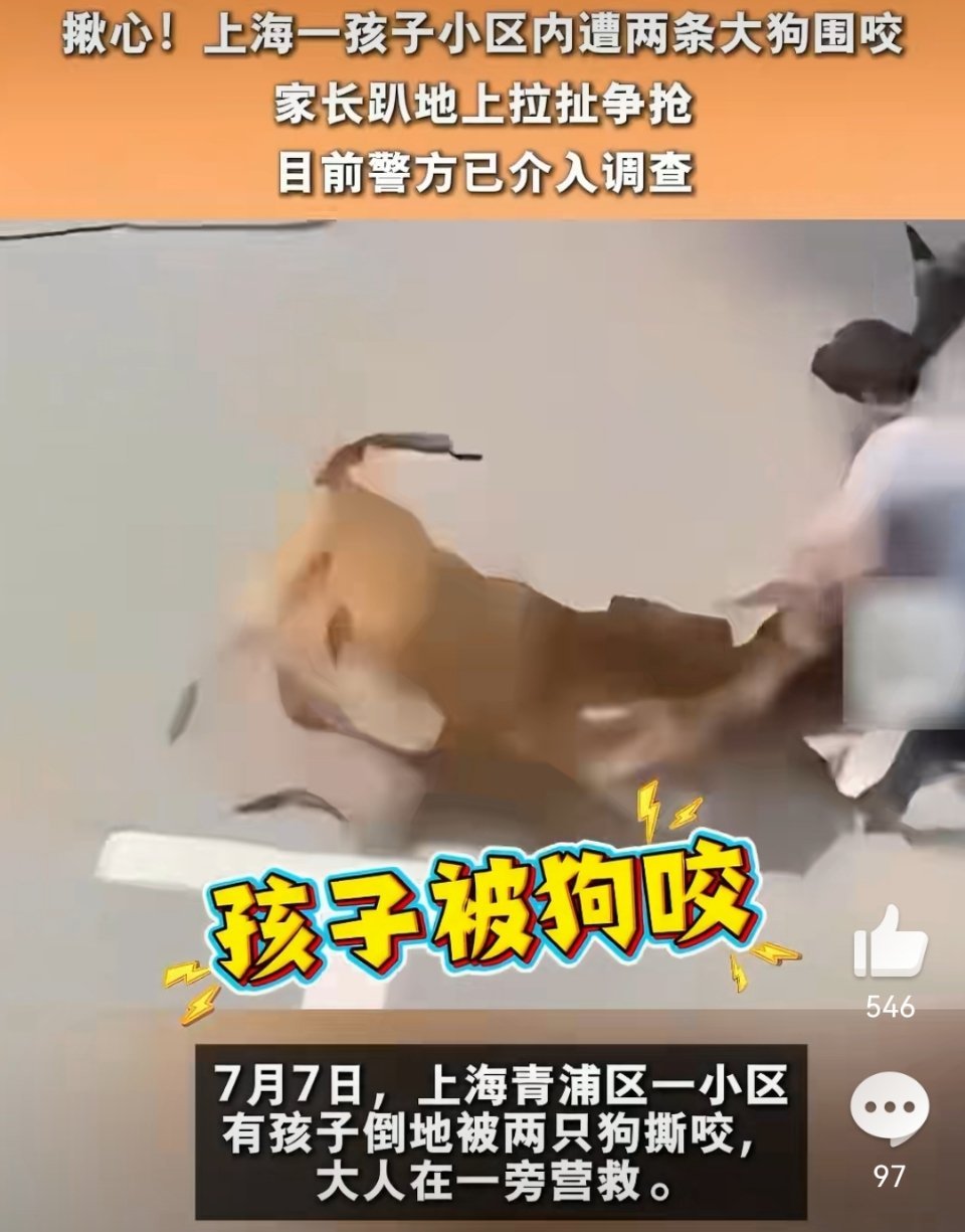 幼童被狗撕咬半天无路人上前帮忙不咬人的时候是毛孩子，咬人了就是狗。毛孩子咬人