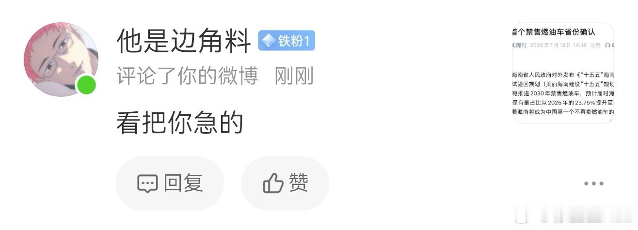 不是，我就说海南宣布平稳推进禁售燃油车的计划。这有个人说我急…我急啥啊？我为什么
