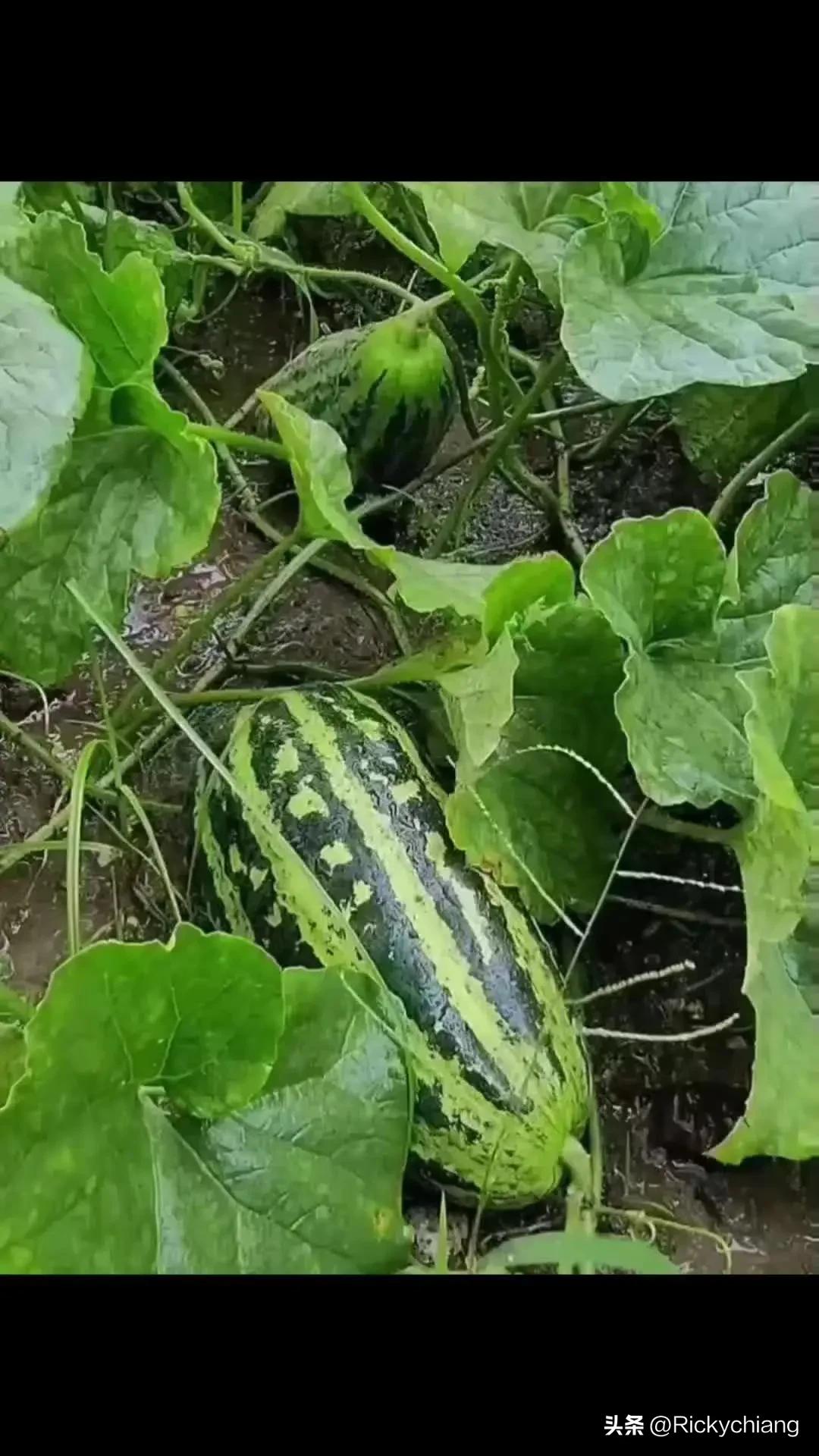 避谶智慧

语言的力量千万不要忽视，避谶这个词，以前我觉得是迷信，现在却觉得这才