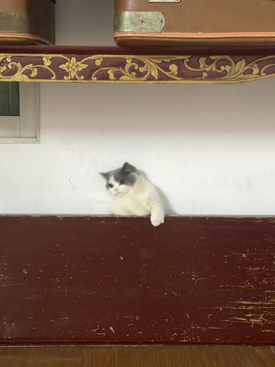 救救我！我被卡住啦！