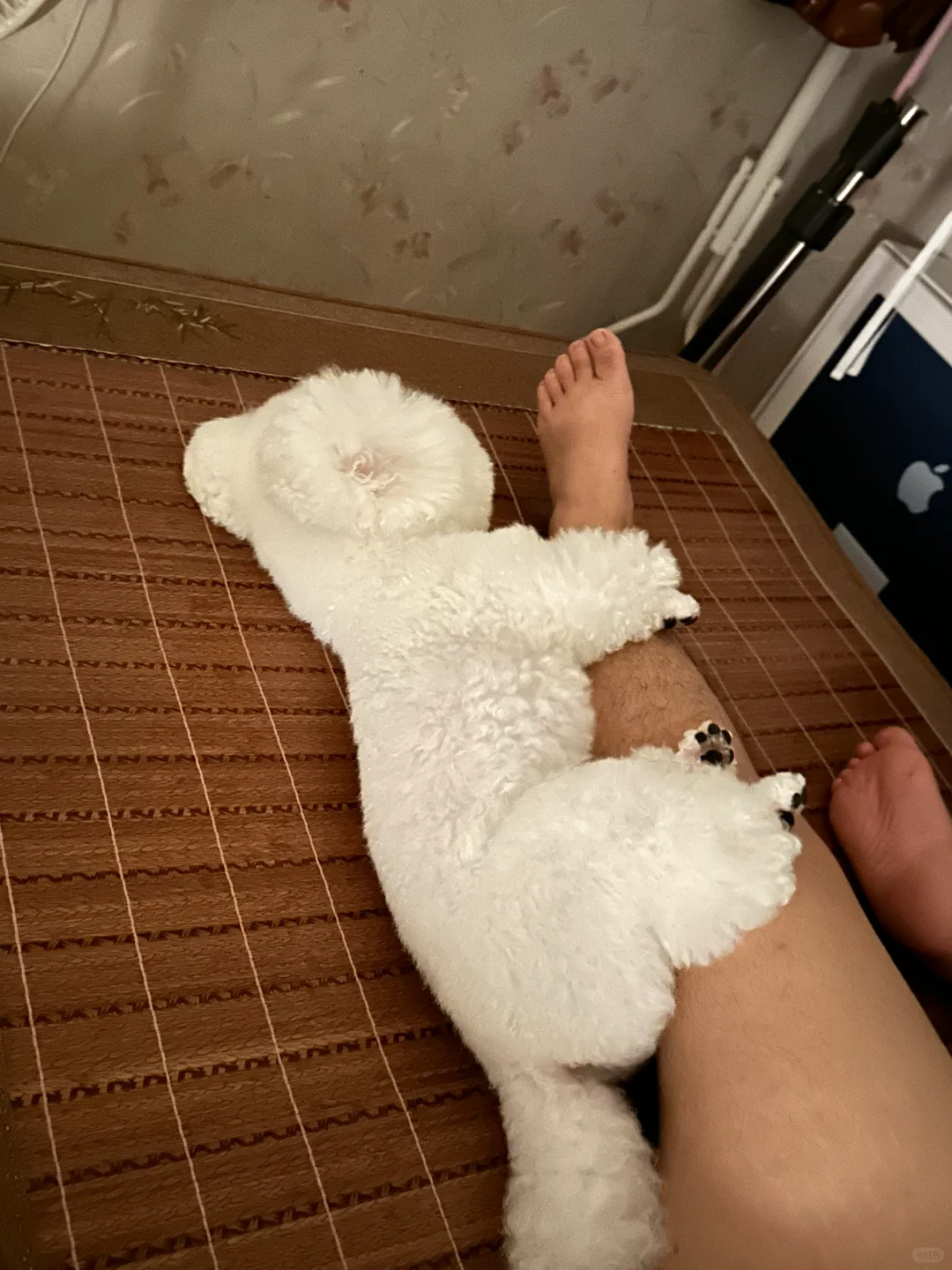 每个宝宝都有属于它的啊…啊…阿贝…贝贝？