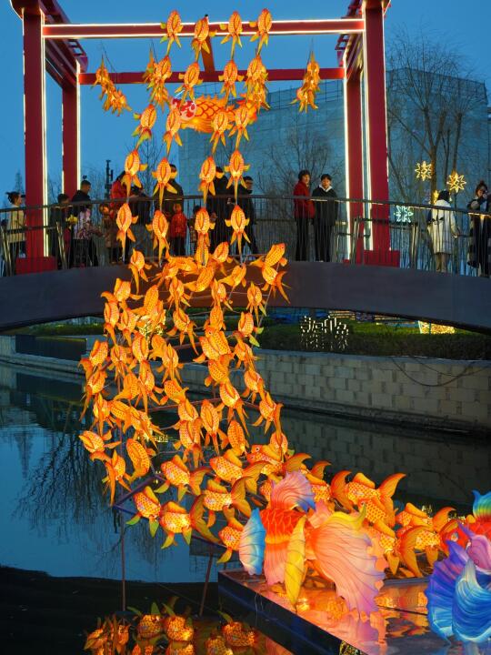 对不起来晚了，嘉兴也有自己的一夜鱼龙舞呀