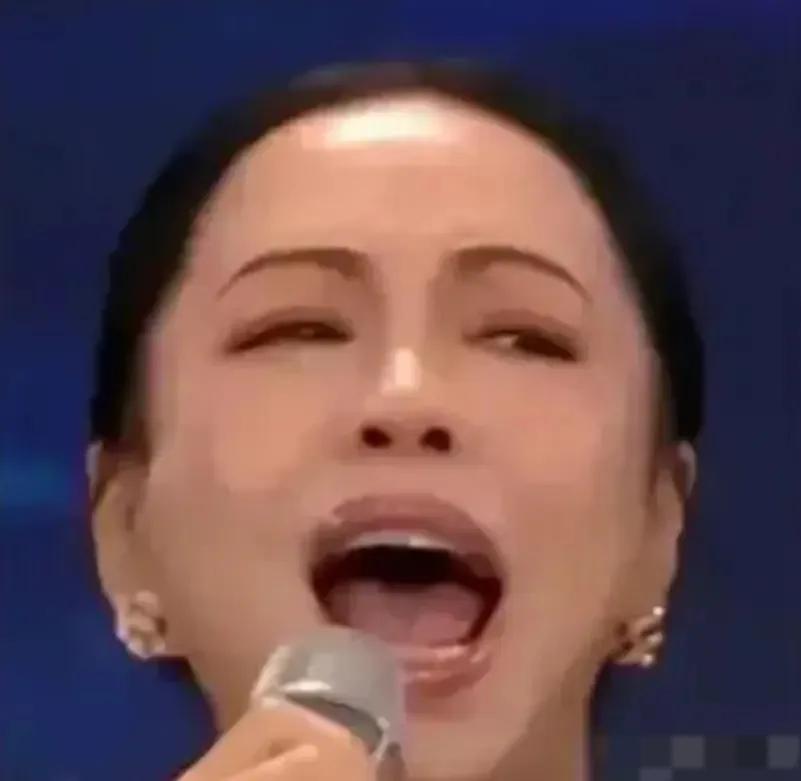 假如《难忘今宵》换成她来唱的话，大家应该就没有异议了吧？

《难忘今宵》一直是李